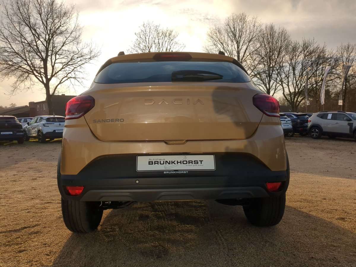 Fahrzeugbild eines Dacia Sandero