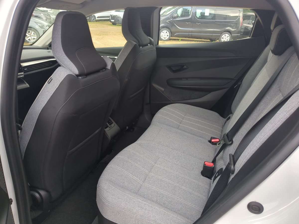Fahrzeugbild eines Renault Mégane