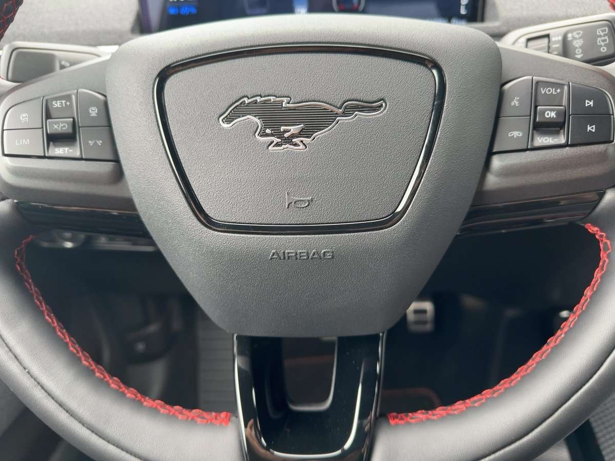 Fahrzeugbild eines Ford Mustang Mach-E