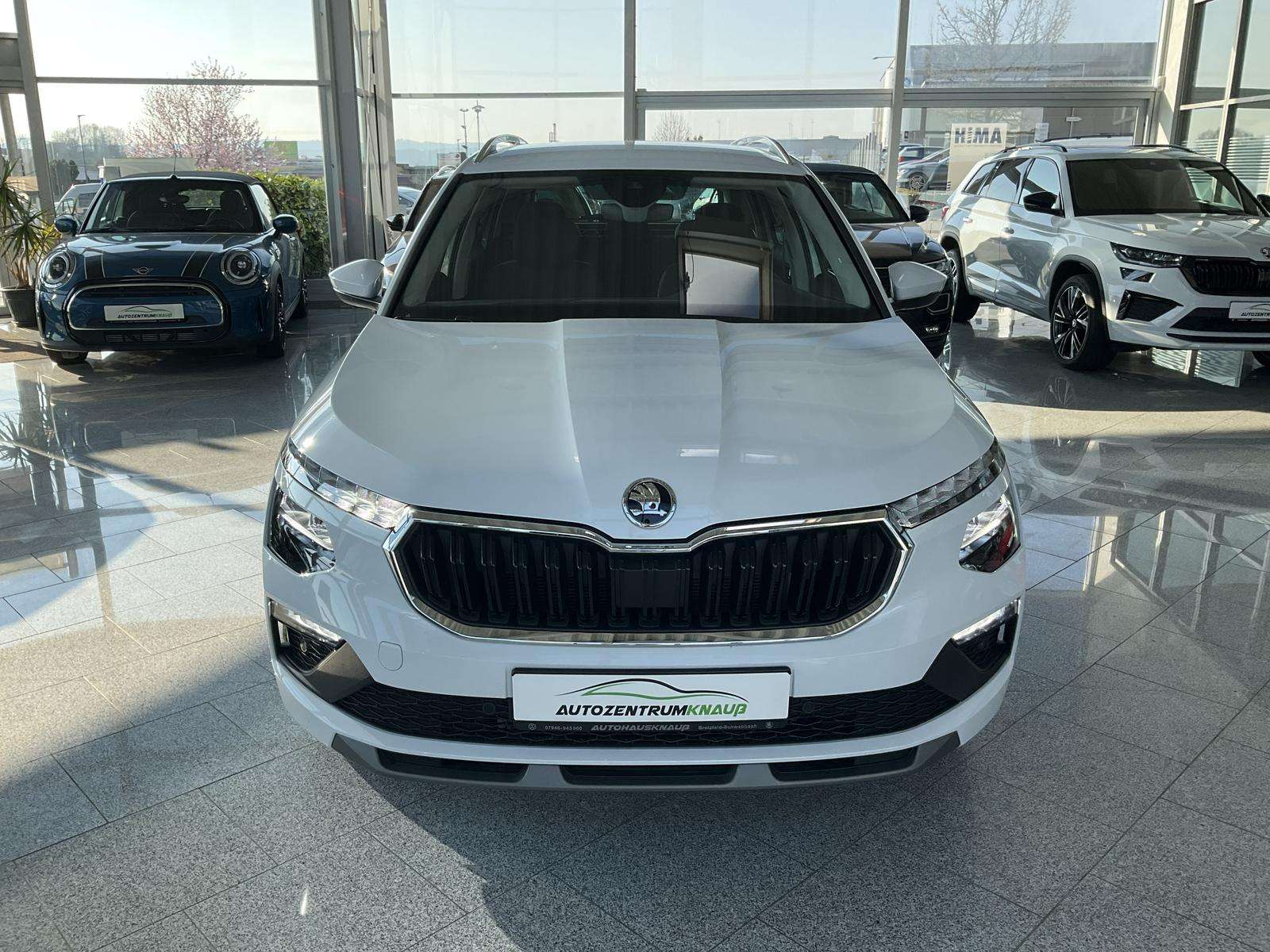 Fahrzeugbild eines Skoda Kamiq