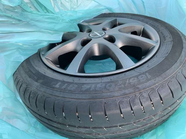 Fahrzeugbild eines Dacia Spring