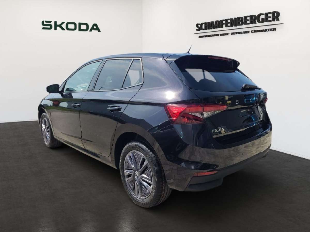 Fahrzeugbild eines Skoda Fabia