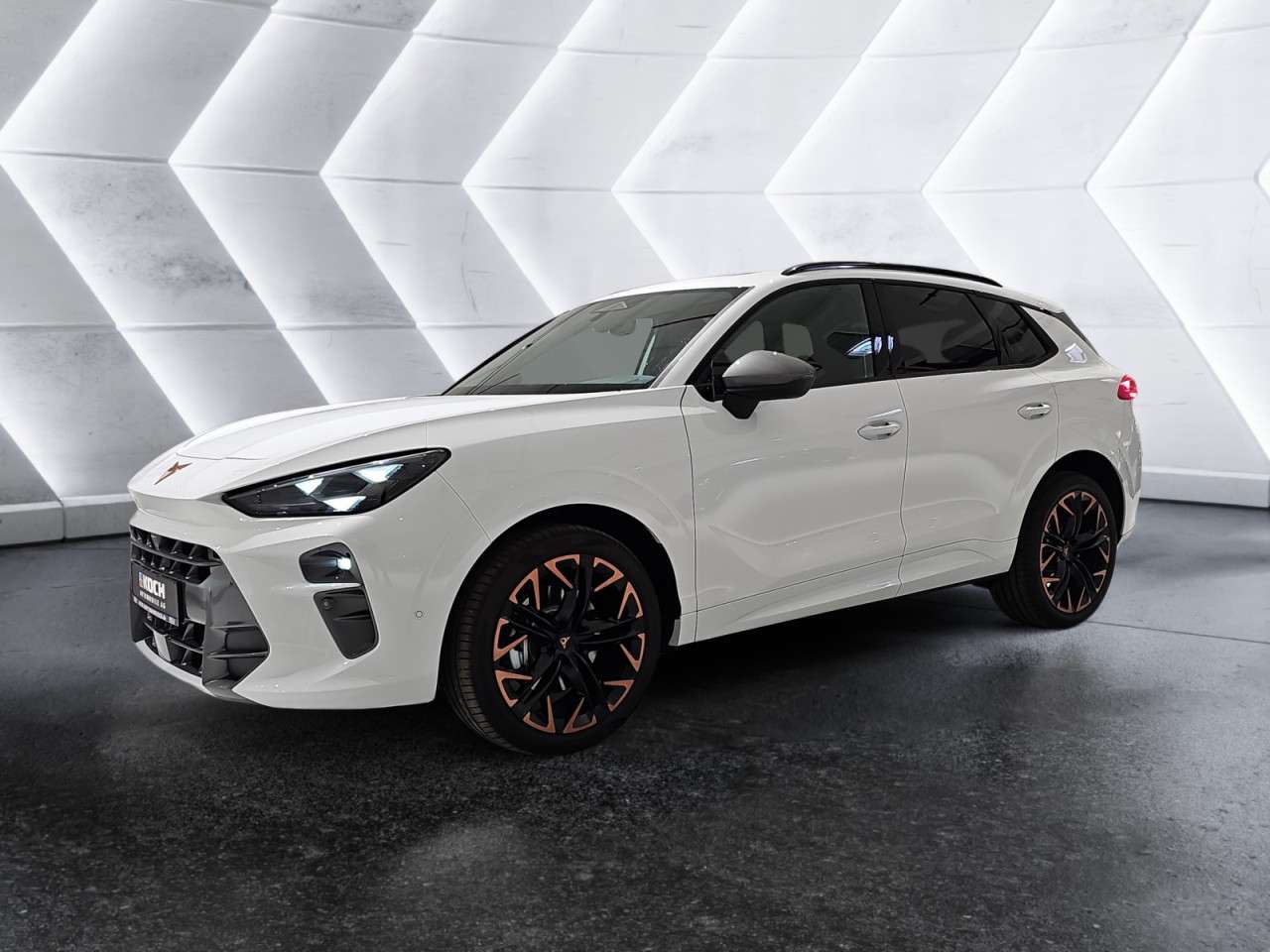 Fahrzeugbild eines CUPRA Terramar