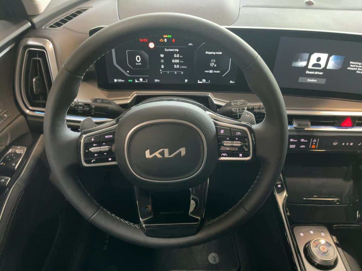 Fahrzeugbild eines Kia Sorento