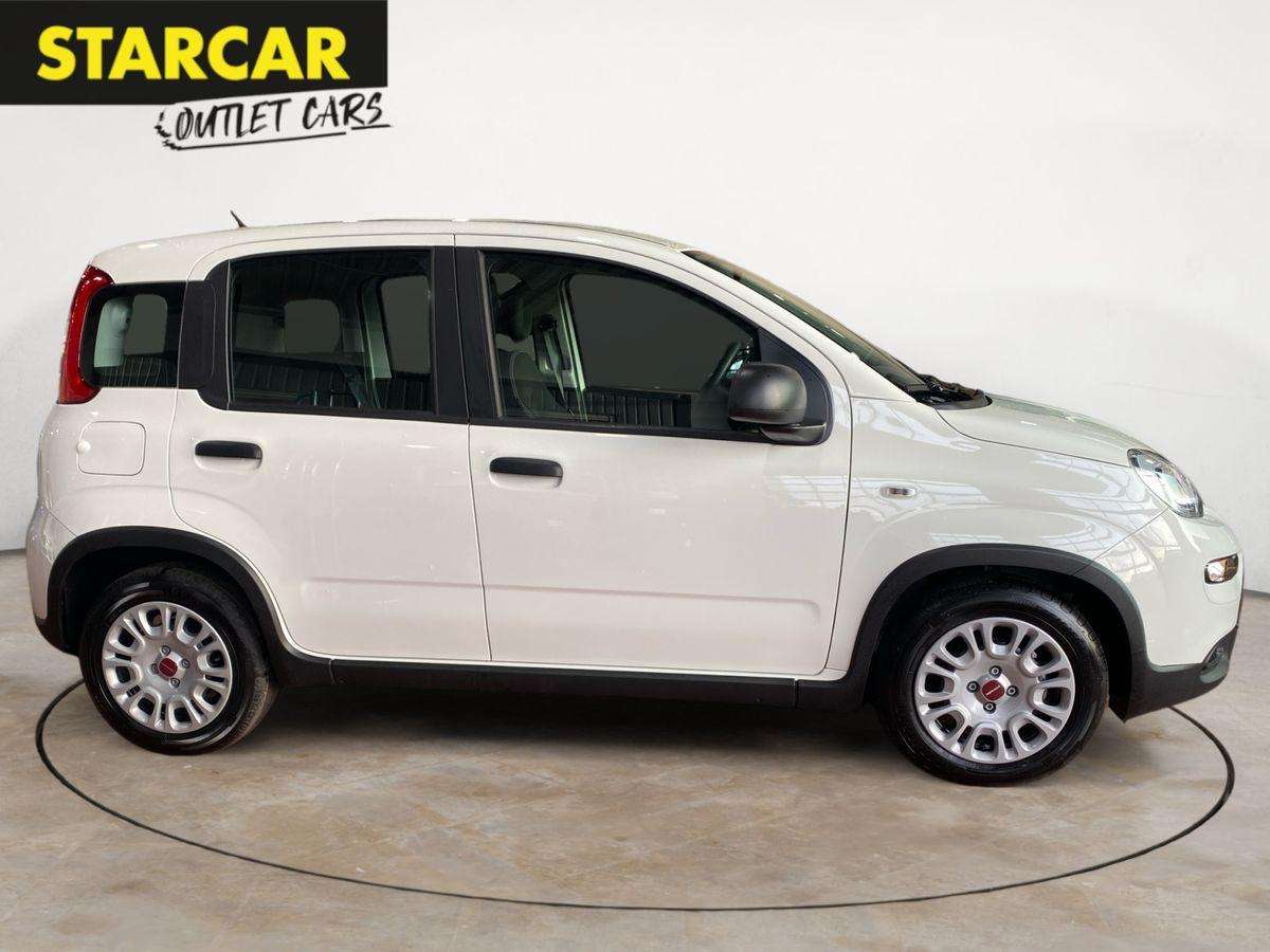 Fahrzeugbild eines Fiat Panda