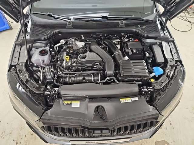 Fahrzeugbild eines Skoda Scala