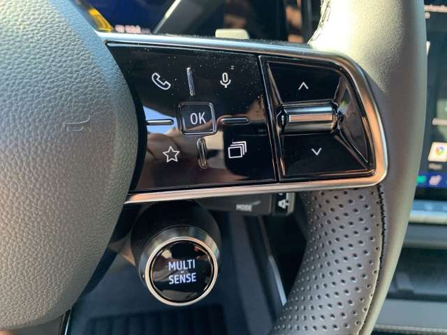 Fahrzeugbild eines Renault Scénic