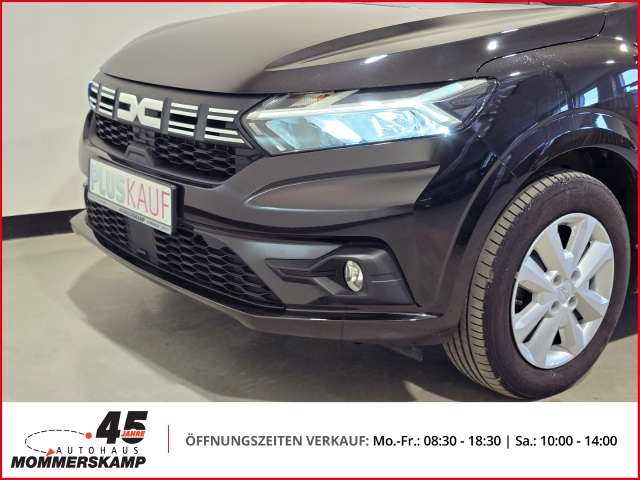 Fahrzeugbild eines Dacia Sandero