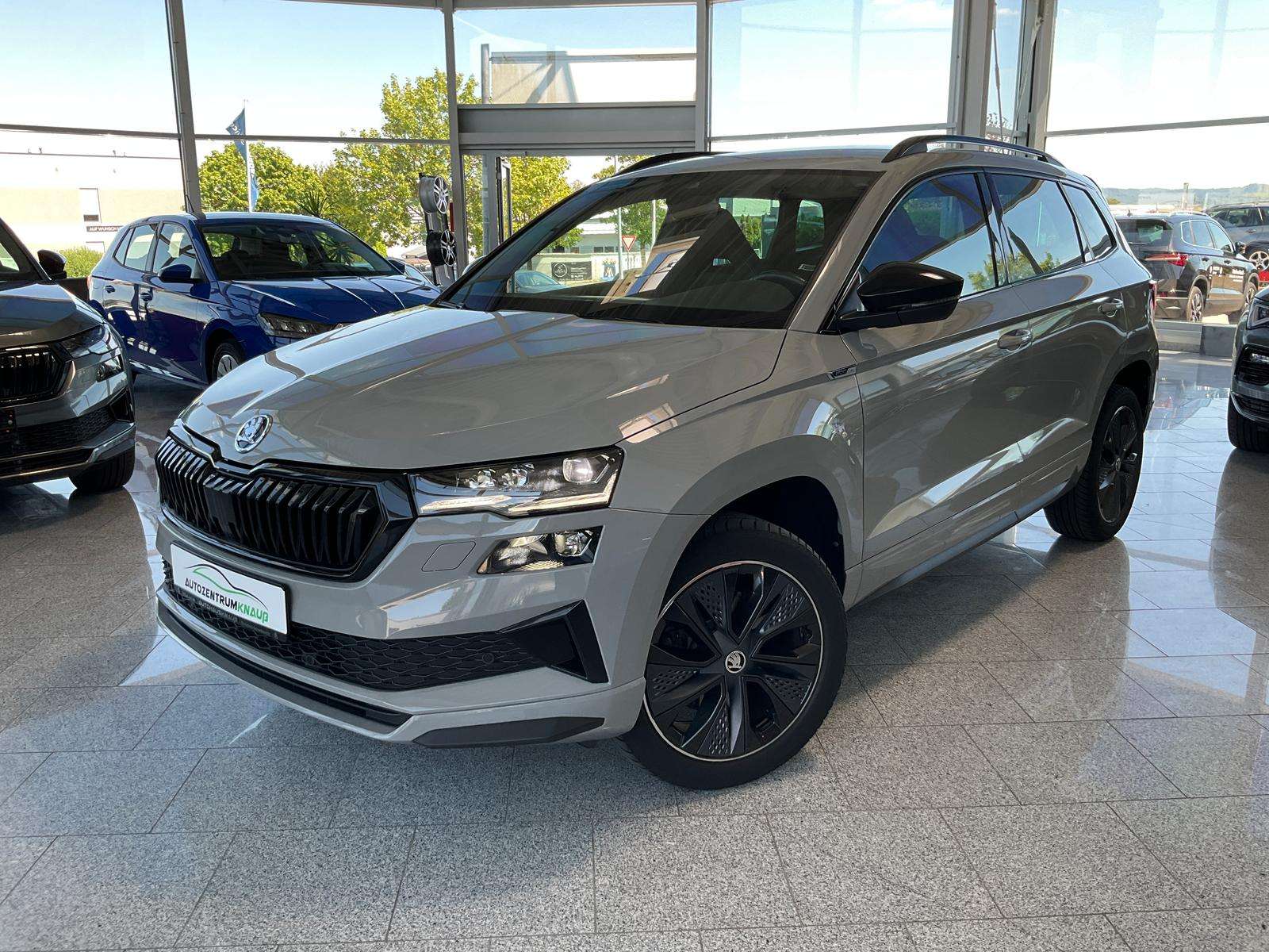 Fahrzeugbild eines Skoda Karoq