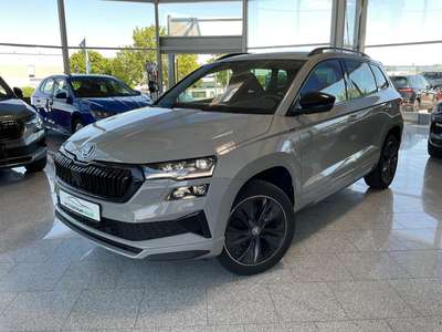 Bild Skoda Karoq