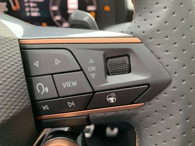 Fahrzeugbild eines CUPRA Terramar