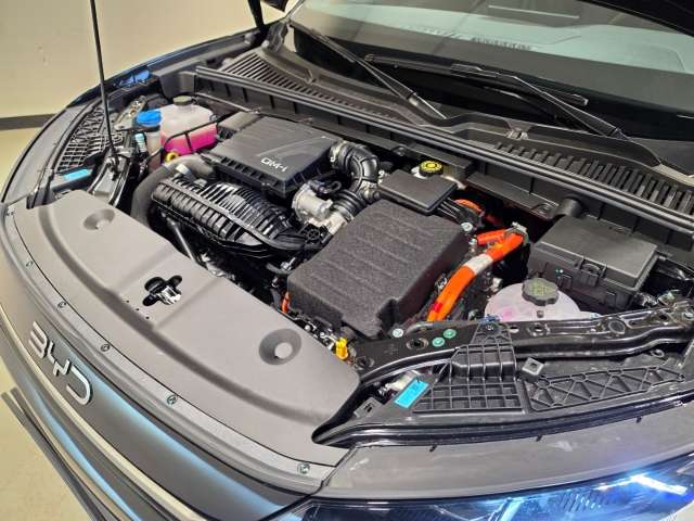 Fahrzeugbild eines BYD Atto 2