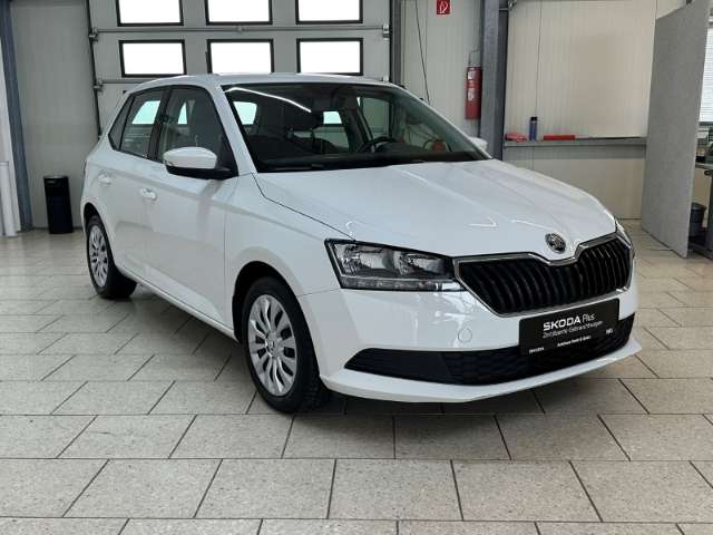 Fahrzeugbild eines Skoda Fabia