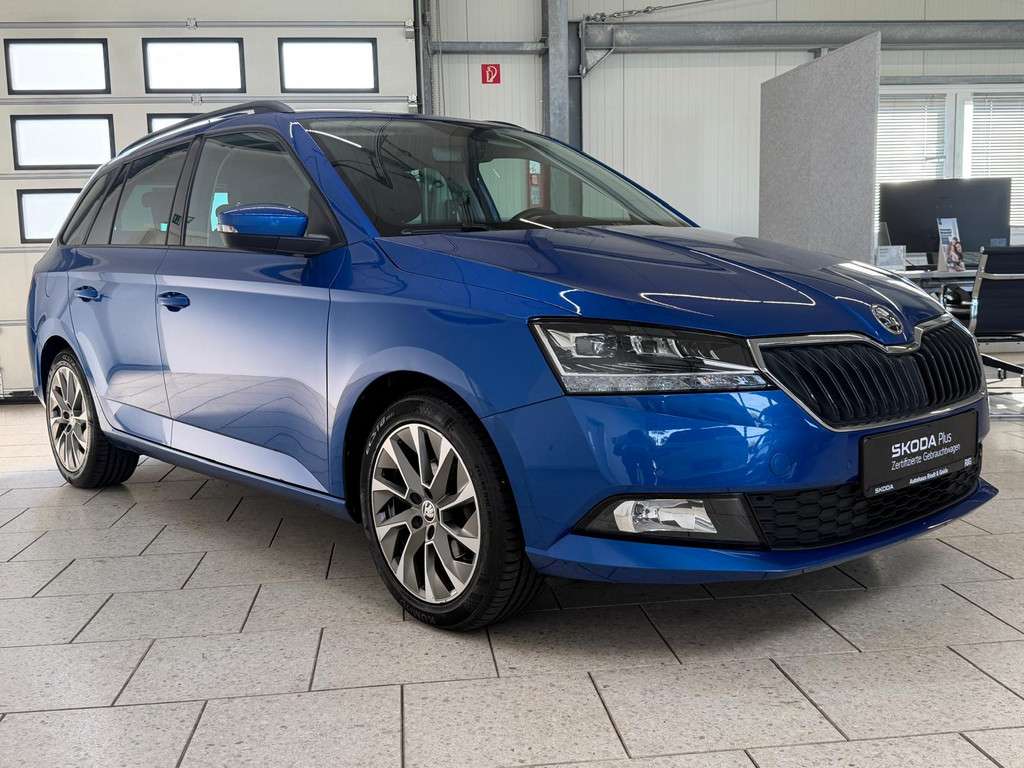 Fahrzeugbild eines Skoda Fabia