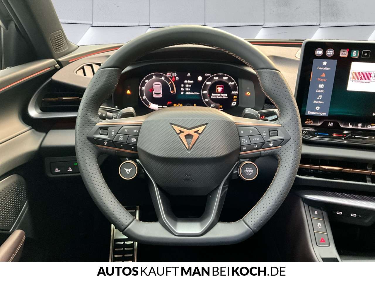 Fahrzeugbild eines CUPRA Terramar