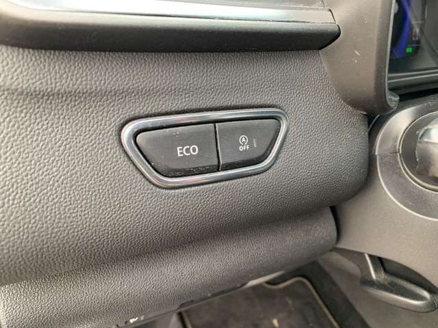 Fahrzeugbild eines Renault Kadjar