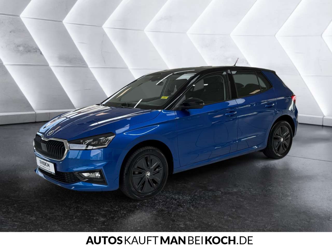 Fahrzeugbild eines Skoda Fabia