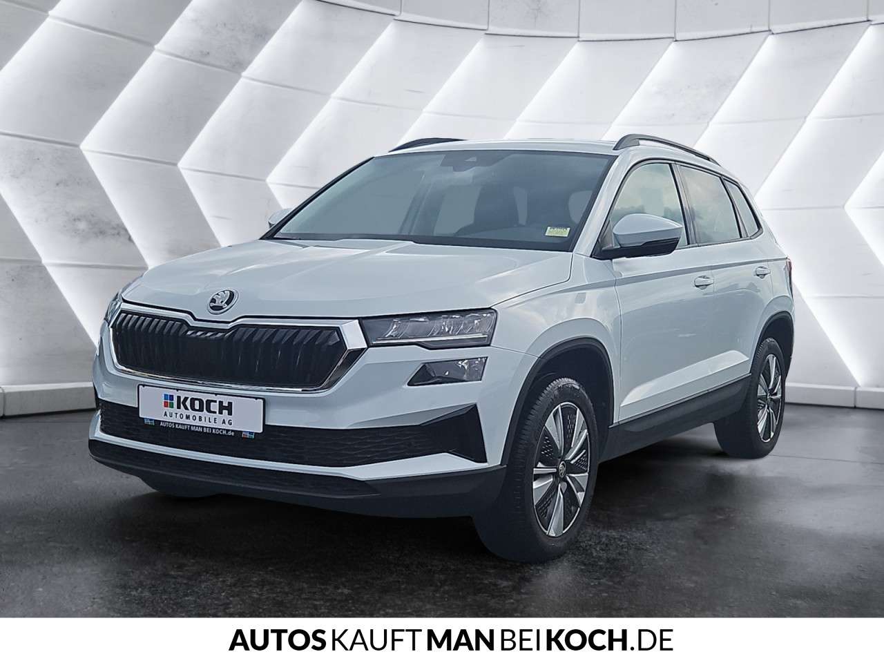Fahrzeugbild eines Skoda Karoq