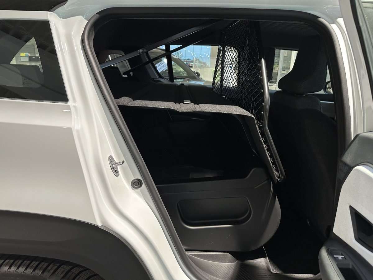 Fahrzeugbild eines Renault 4 E-TECH