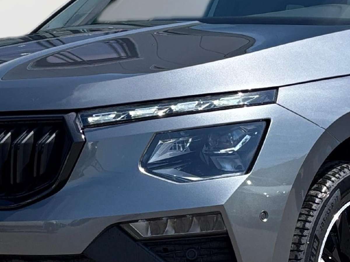 Fahrzeugbild eines Skoda Kamiq