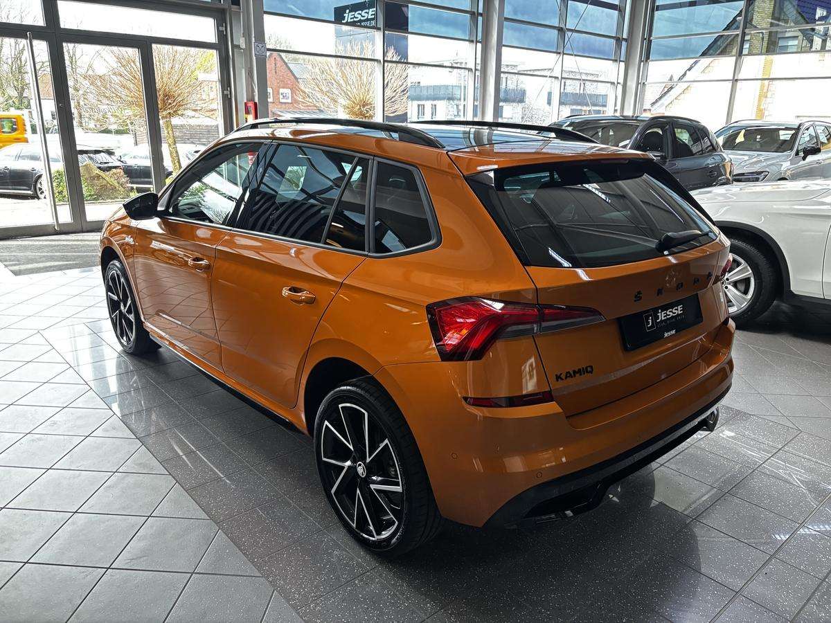 Fahrzeugbild eines Skoda Kamiq