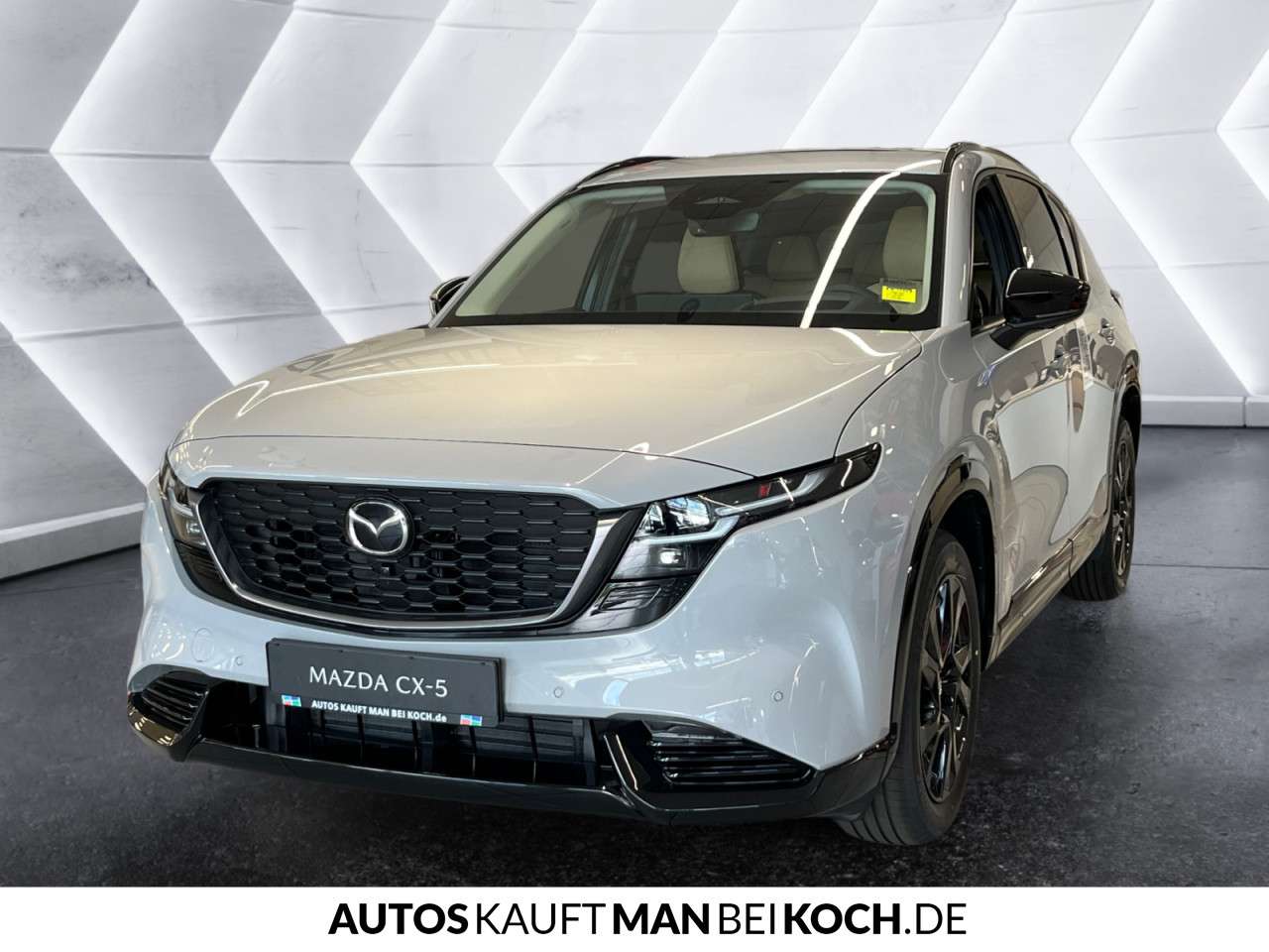 Fahrzeugbild eines Mazda Mazda2