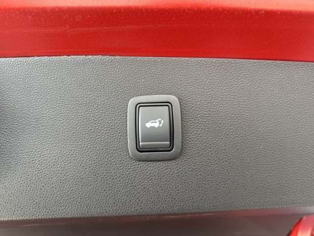 Fahrzeugbild eines Dacia Bigster