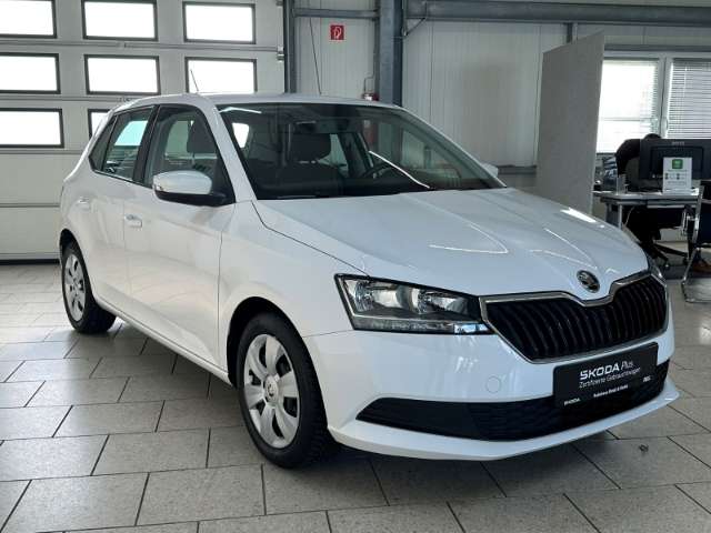 Fahrzeugbild eines Skoda Fabia
