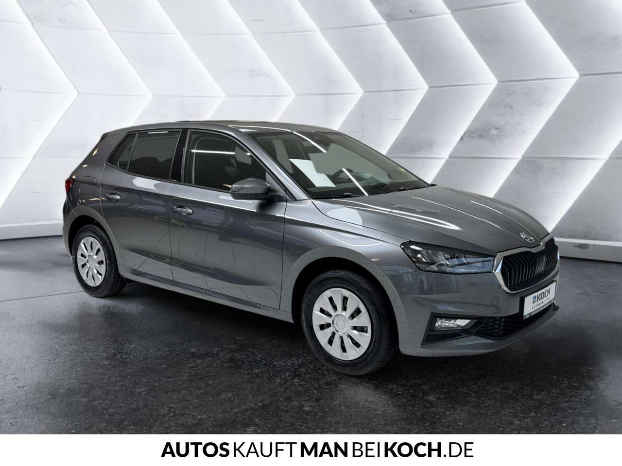 Fahrzeugbild eines Skoda Fabia