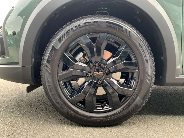 Fahrzeugbild eines Dacia Jogger