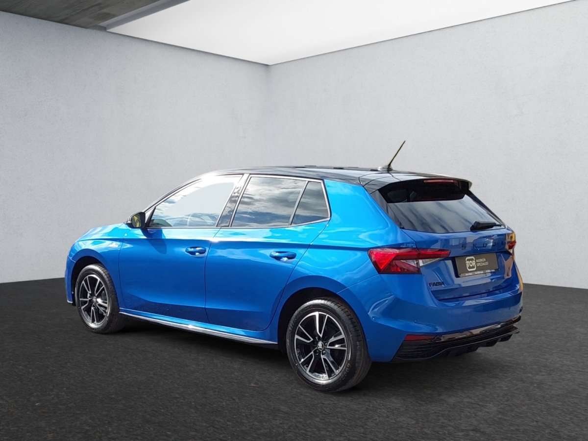 Fahrzeugbild eines Skoda Fabia