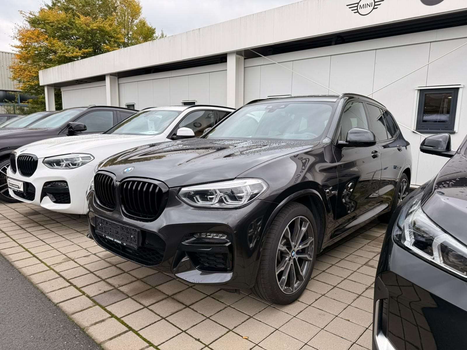Fahrzeugbild eines BMW X3