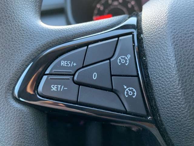 Fahrzeugbild eines Dacia Sandero