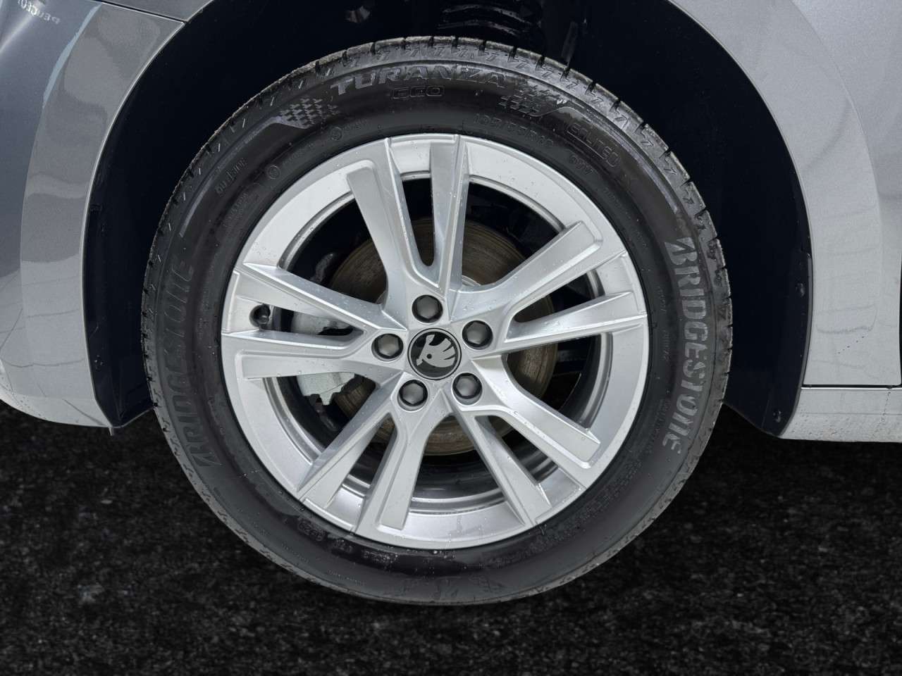 Fahrzeugbild eines Skoda Fabia