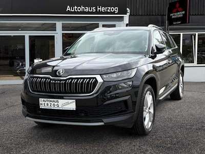 Bild Skoda Kodiaq
