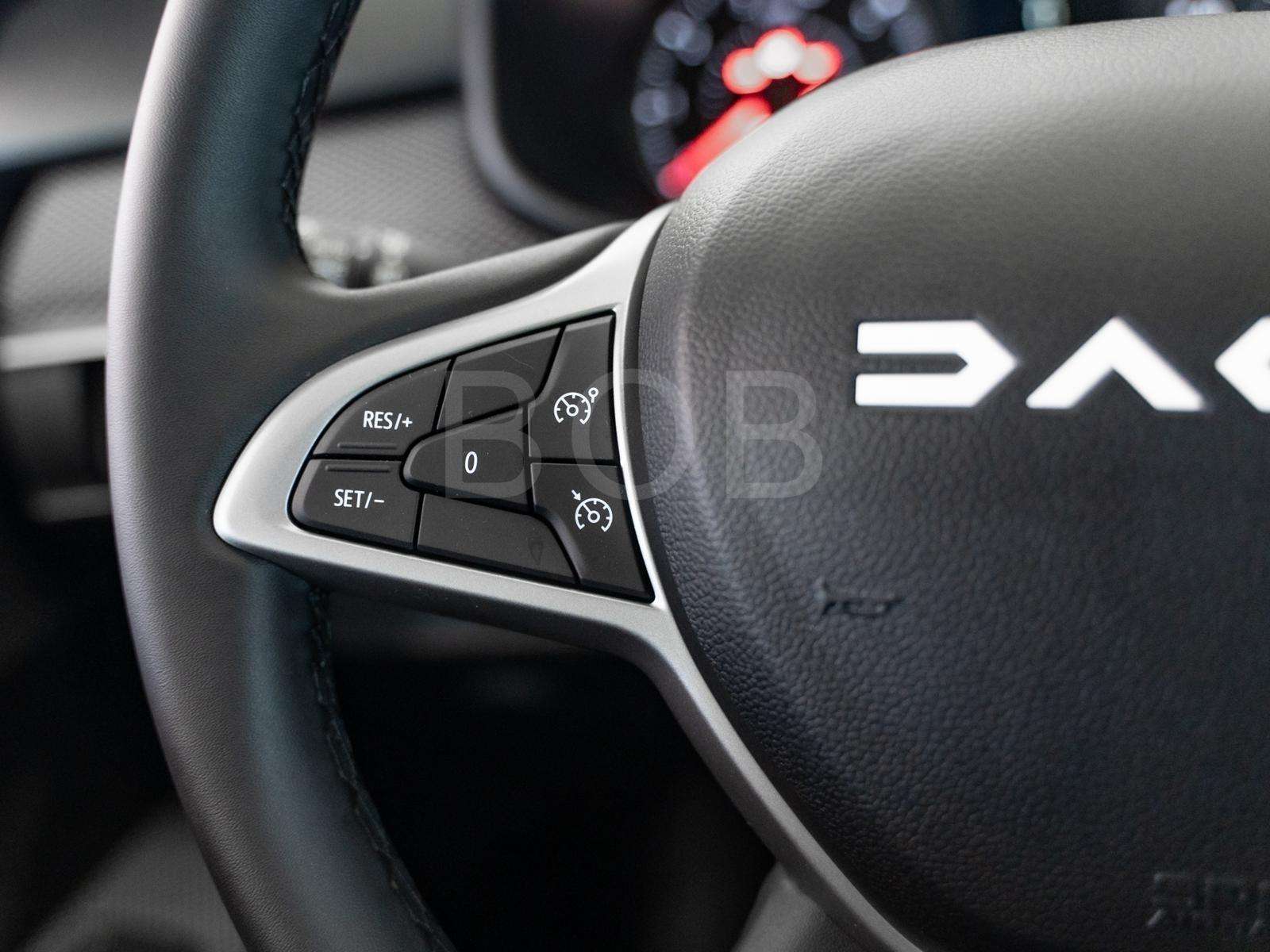 Fahrzeugbild eines Dacia Sandero