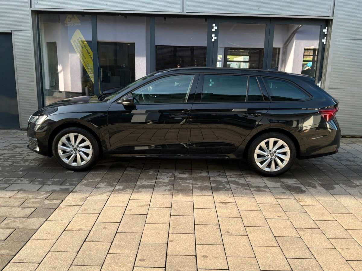 Fahrzeugbild eines Skoda Octavia