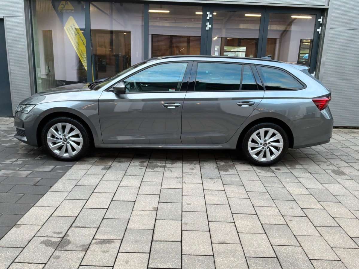 Fahrzeugbild eines Skoda Octavia