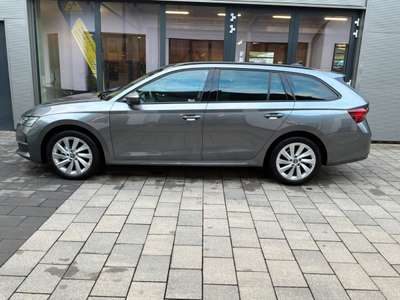 Bild Skoda Octavia