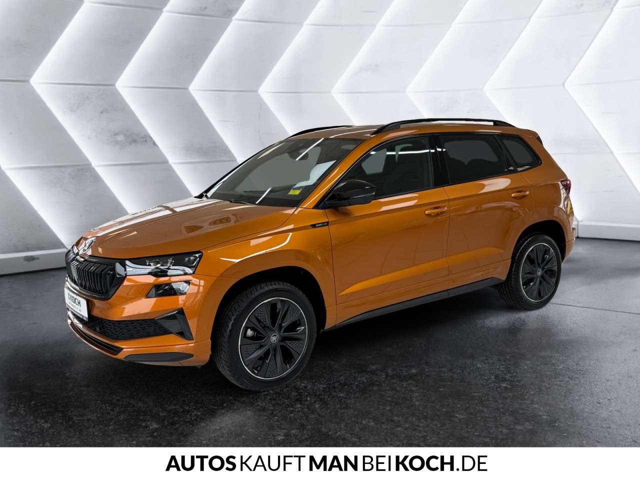 Fahrzeugbild eines Skoda Karoq