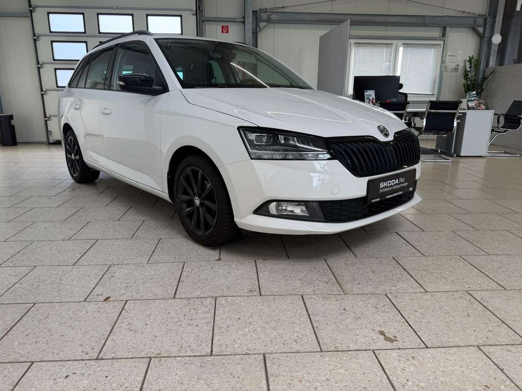 Fahrzeugbild eines Skoda Fabia