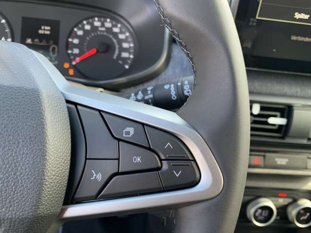 Fahrzeugbild eines Dacia Sandero
