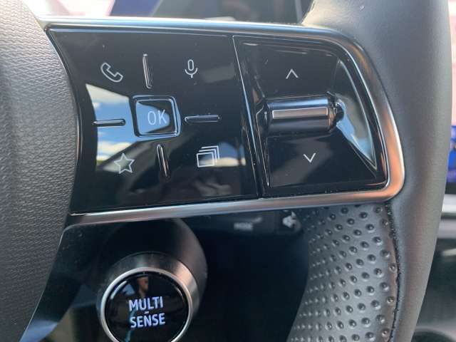 Fahrzeugbild eines Renault Rafale