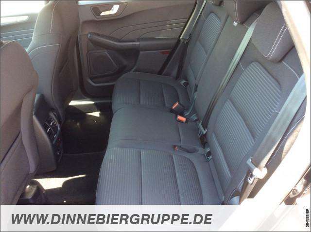 Fahrzeugbild eines Ford Kuga