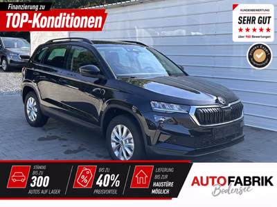 Bild Skoda Karoq