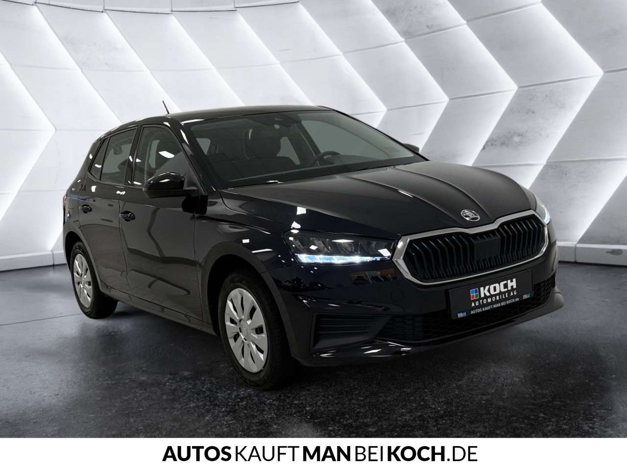 Fahrzeugbild eines Skoda Fabia