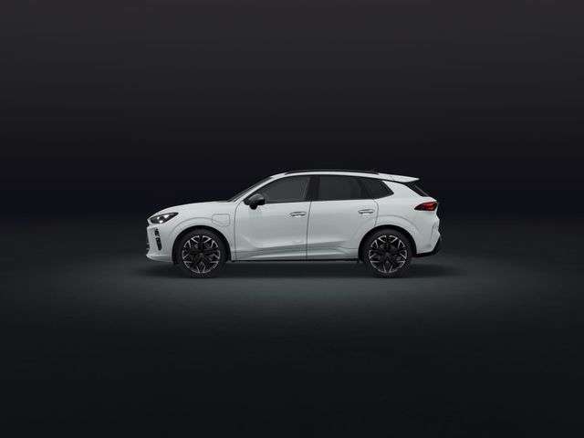 Fahrzeugbild eines CUPRA Terramar