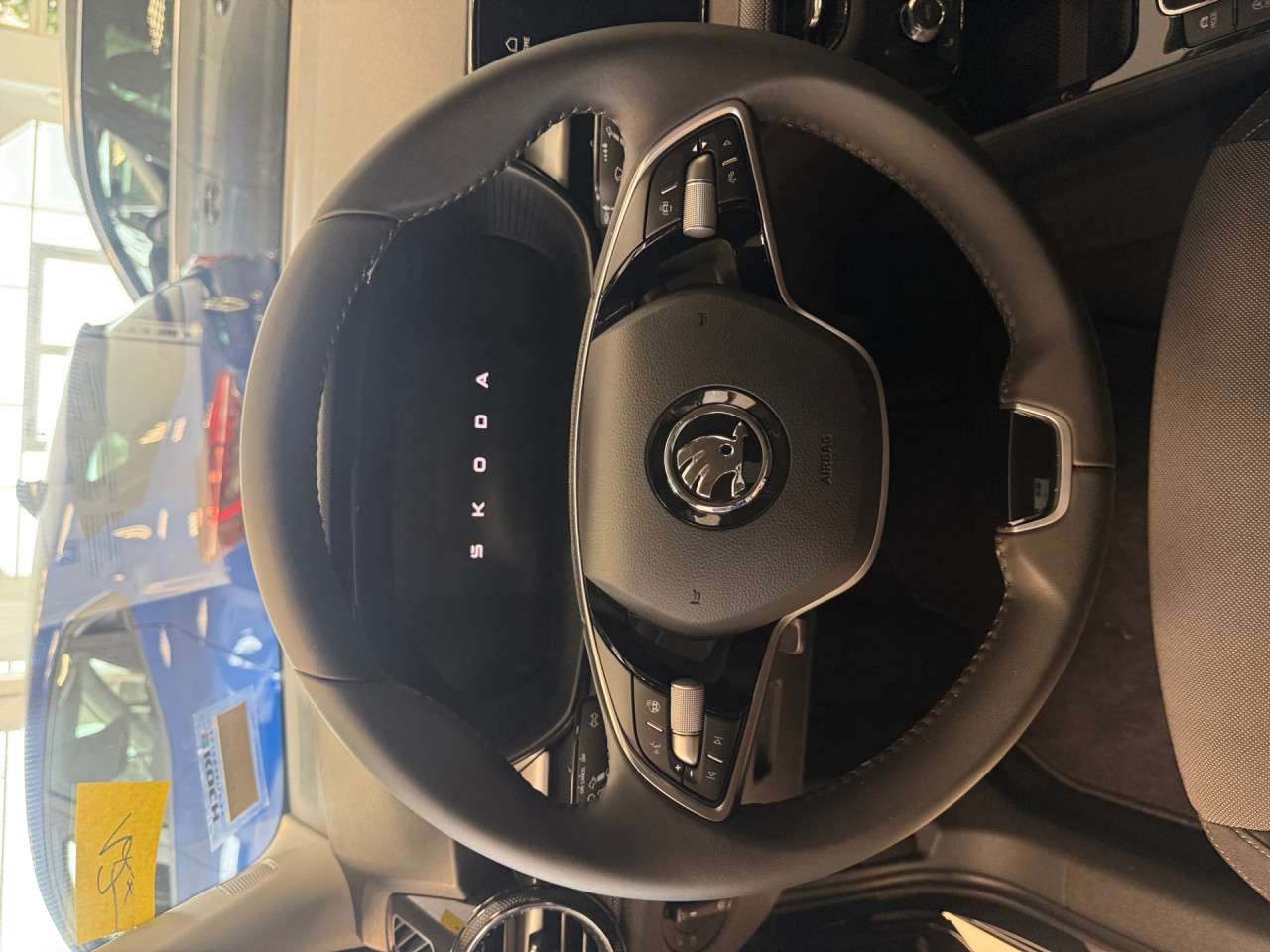 Fahrzeugbild eines Skoda Fabia