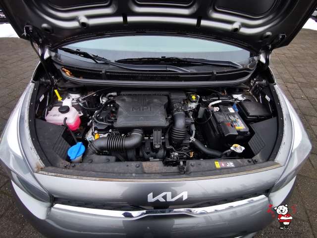 Fahrzeugbild eines Kia Picanto