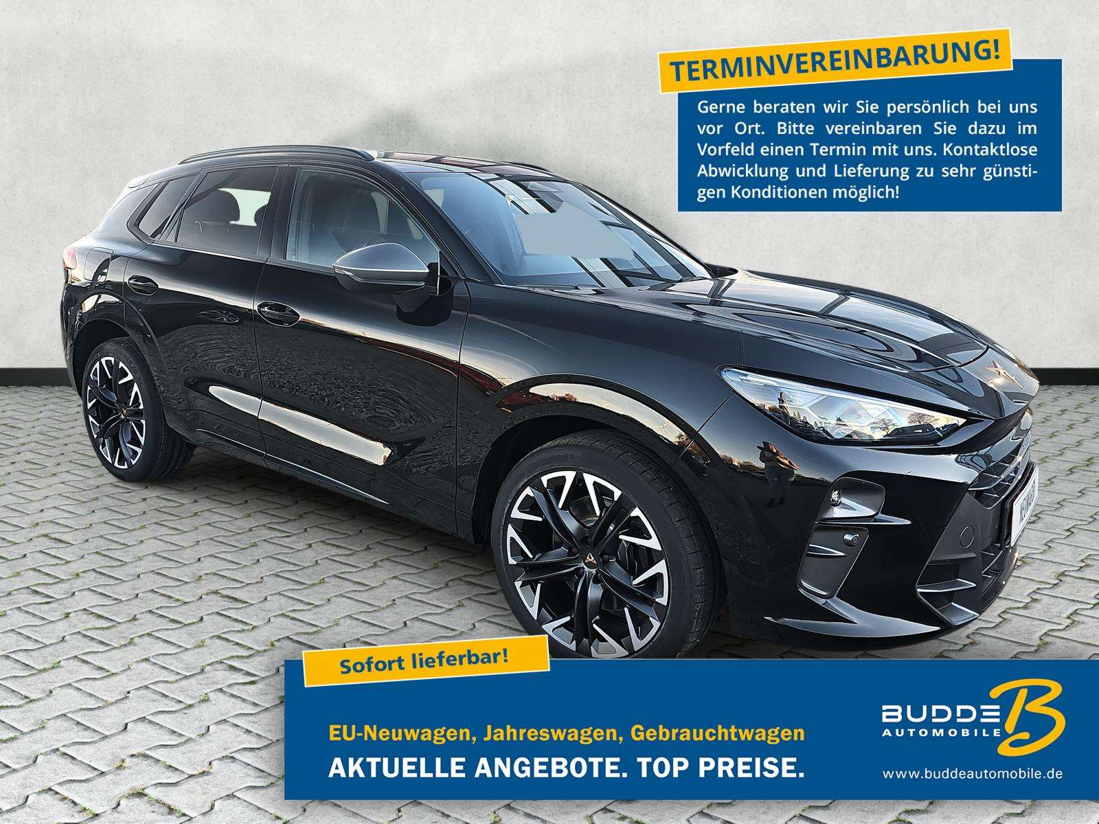 Fahrzeugbild eines CUPRA Terramar